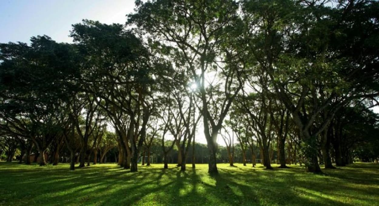 Espaço de lazer na reserva de Tatí Yupí, em Hernandarias. Foto: Gentileza/Itaipu Binacional (Paraguai)