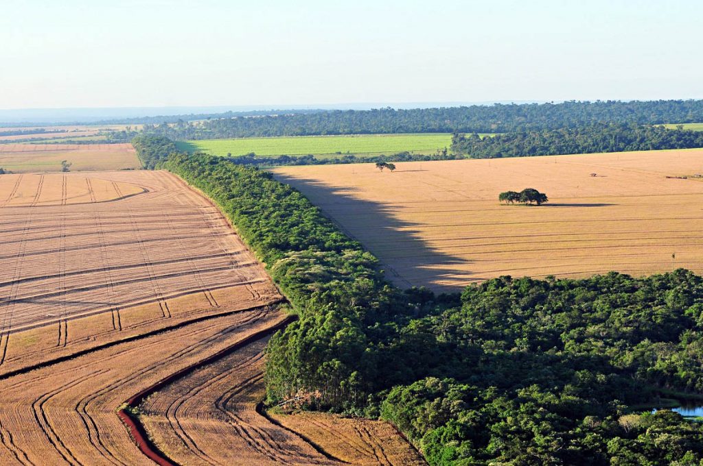 Encontro on-line sobre meio ambiente reúne candidatos à Prefeitura de Foz
