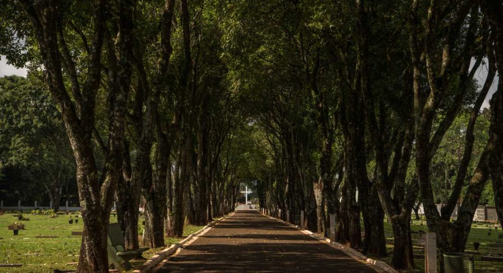 Foz tem mais 6 mortes por covid-19, duas do início do ano. Vítimas tinham de 34 a 80 anos