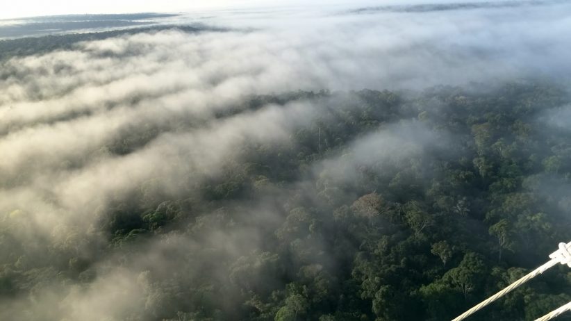 Alterações na Floresta Amazônica impactam diretamente na dinâmica dos rios voadores. Foto: Funbio