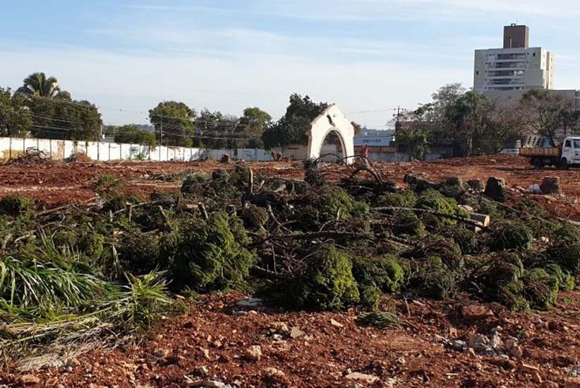 Dez araucárias adultas foram derrubadas, em terreno da antiga Santa Casa de Foz do Iguaçu