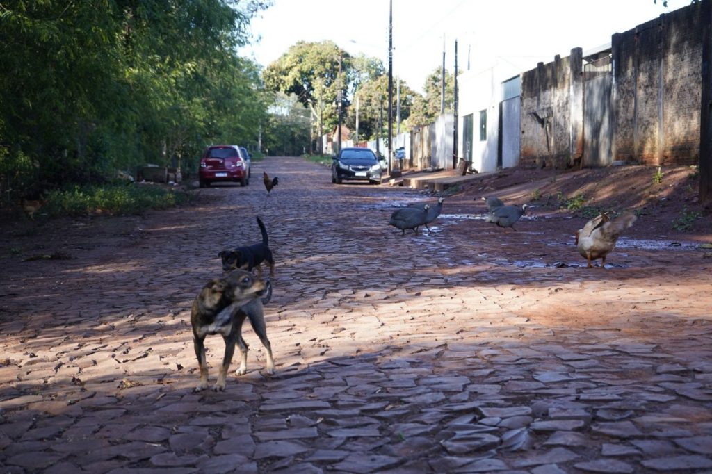 Foz do Iguaçu e a cidade sonhada que precisa ser construída