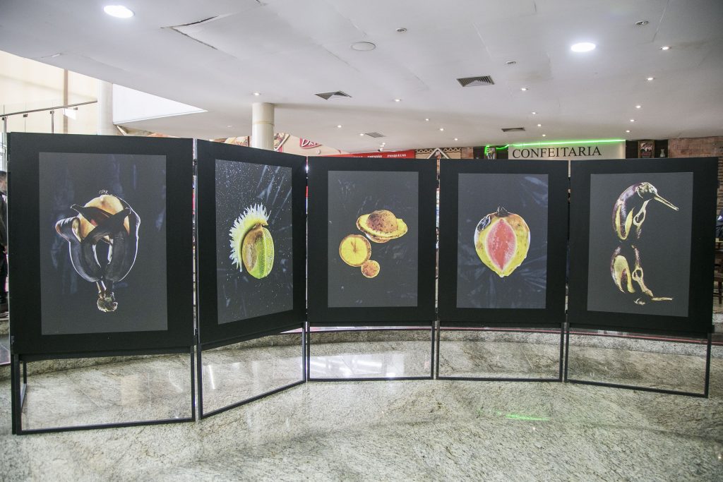 Desperdício de alimentos é tema de exposição fotográfica em Foz do Iguaçu