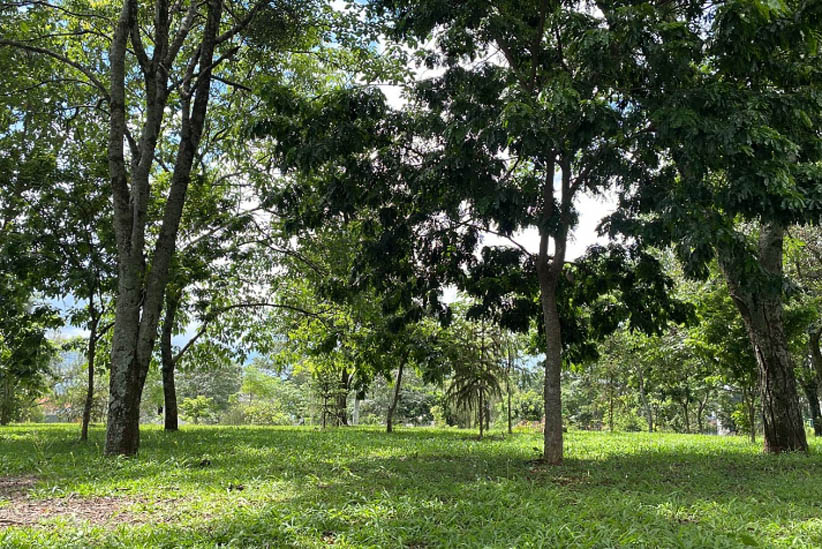 A população realmente necessita de ambos, a Praça e a Escola