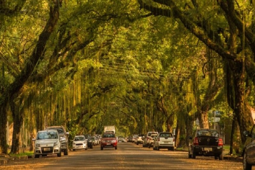 Aos poucos os gestores enxergam que preservar o meio ambiente pode ser um bom negócio