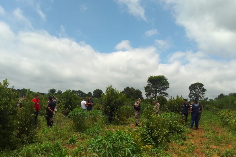 Terreno onde foi achado o corpo fica a cerca de 10 quilômetros do local do sequestro. Imagem: Gentileza/Polícia Nacional do Paraguai