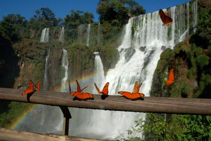 Circuito Inferior, uma das três opções de trilhas panorâmicas no lado argentino das Cataratas do Iguaçu. Imagem: Gentileza/Iguazú Argentina (Arquivo)