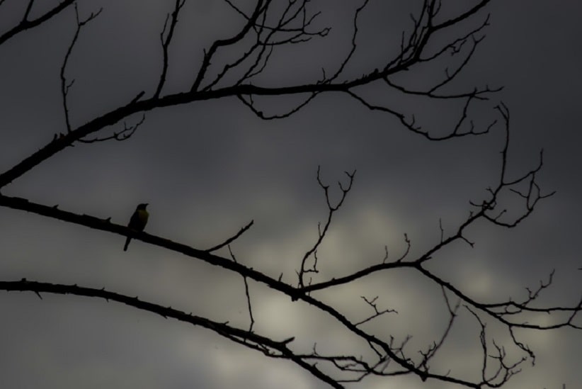 Última semana de abril tem previsão de pancadas de chuva em Foz do Iguaçu