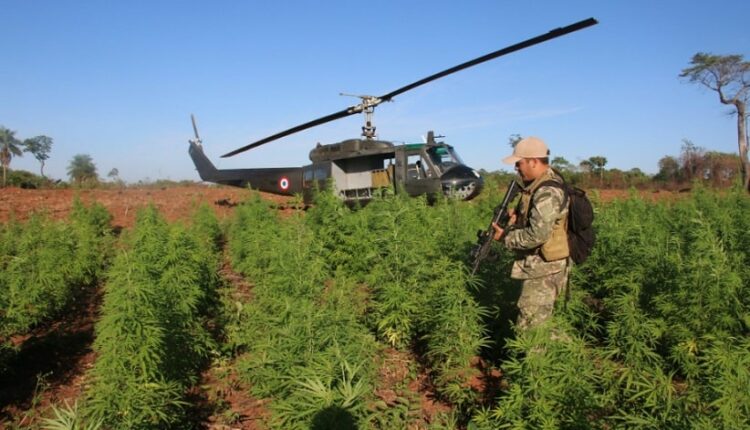 Ação teve como foco a região de Capitán Bado, fronteira seca com Coronel Sapucaia (MS). Imagem: Gentileza/Senad