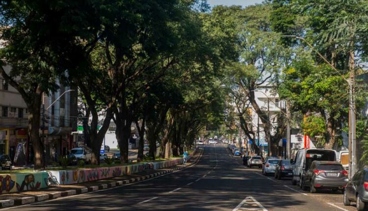 É preciso reforçar a importância das árvores na melhoria da temperatura e do microclima, protegendo a biodiversidade, o solo e as nascentes. Foto: Marcos Labanca/H2FOZ.