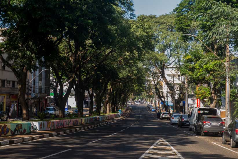 É preciso reforçar a importância das árvores na melhoria da temperatura e do microclima, protegendo a biodiversidade, o solo e as nascentes. Foto: Marcos Labanca/H2FOZ.
