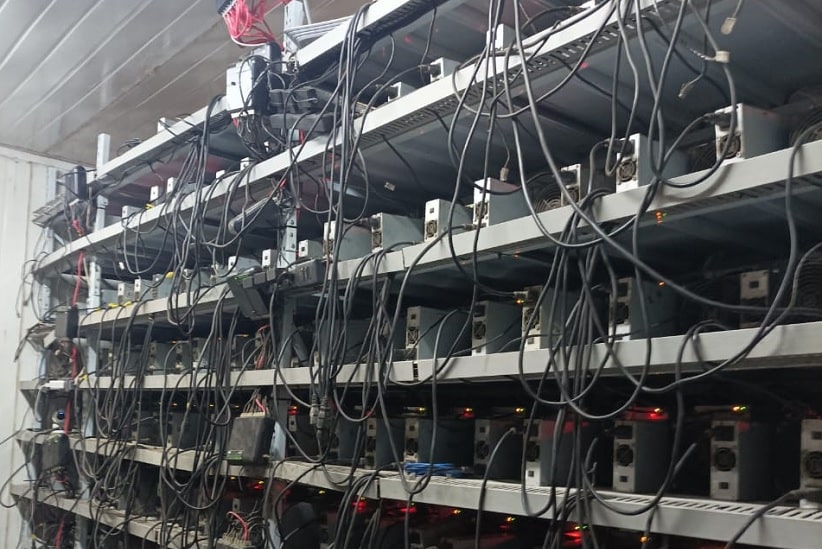 Mineração de criptomoedas: companhia caça “gatos” no Paraguai