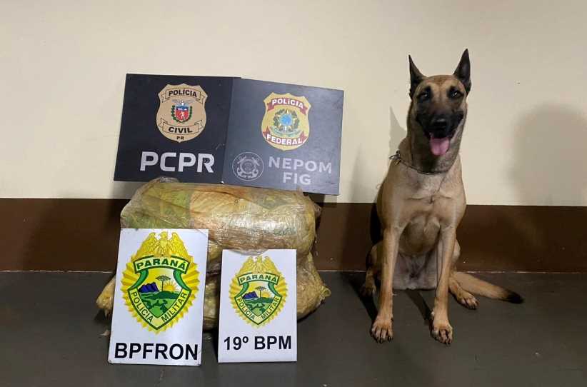 Polícia tira de circulação 10 quilos de supermaconha em acesso a portos ilegais