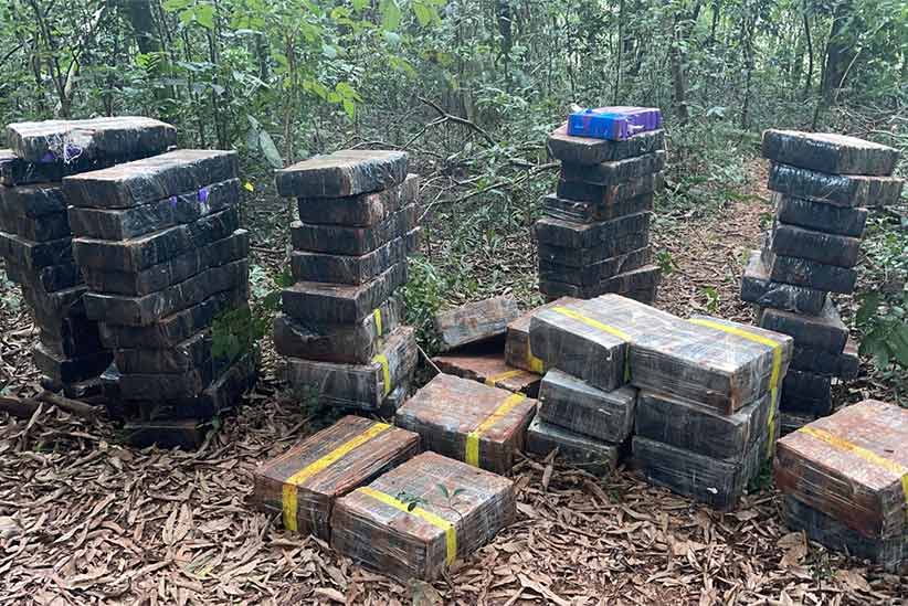 Policiais apreendem 3,5 toneladas de maconha em Santa Helena