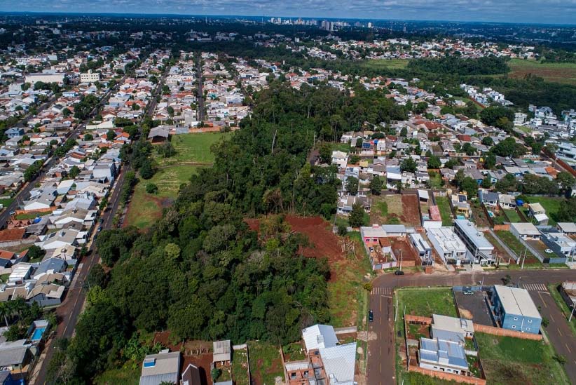 Bosque dos Macacos: proteção só veio por conta da mobilização social