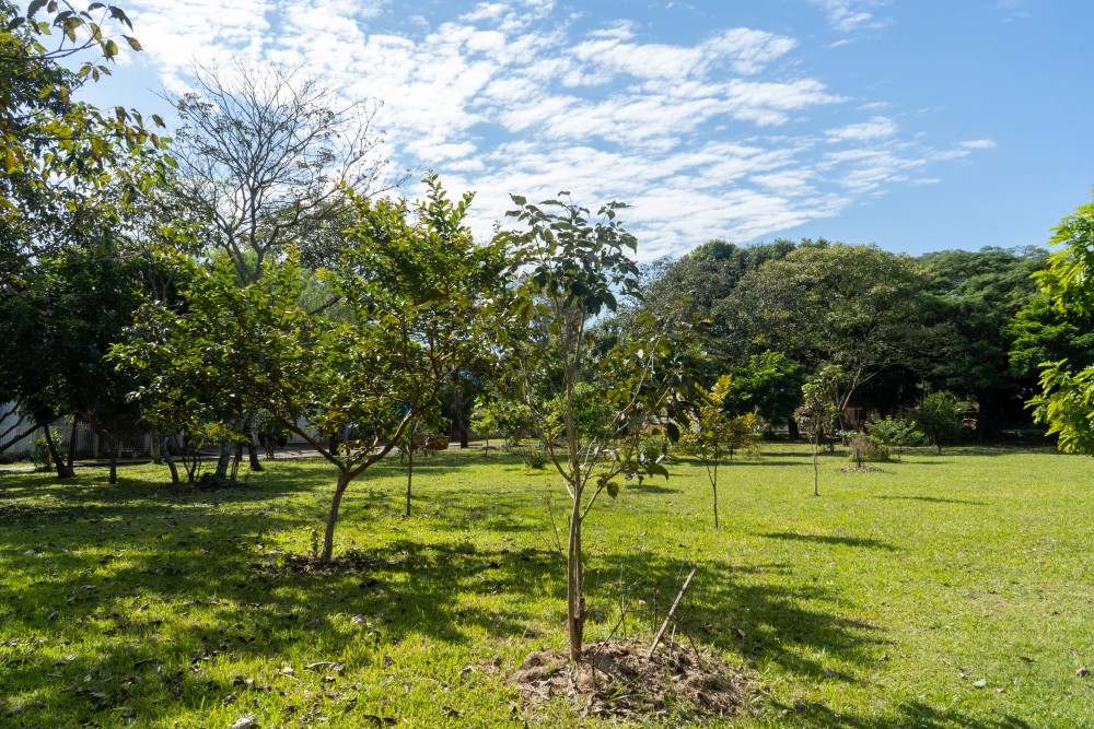 Conselho de Patrimônio rejeita tombamento da Praça das Aroeiras em Foz do Iguaçu