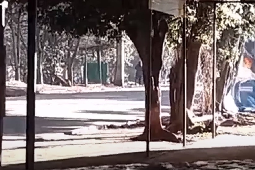 Tentativa de desalojamento termina em confronto no Paraguai