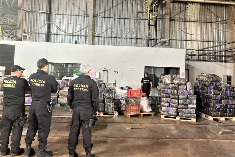 PF destrói 12 toneladas de drogas retiradas de circulação na fronteira
