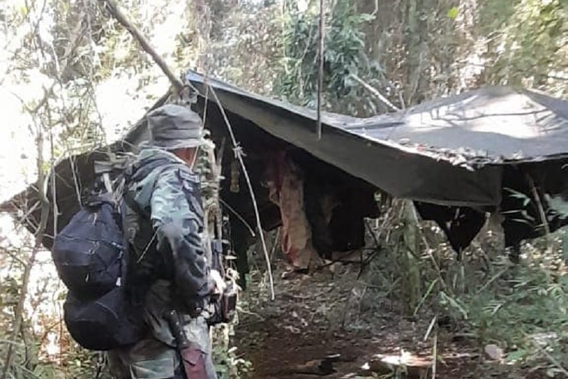 Caça ilegal é foco de operação no lado argentino da fronteira