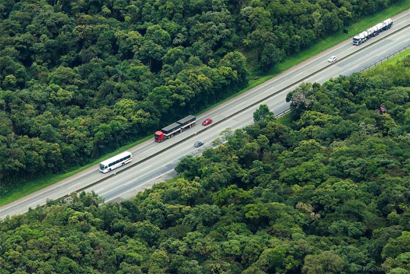 Concessão rodoviária, Canabidiol e Vagas de emprego