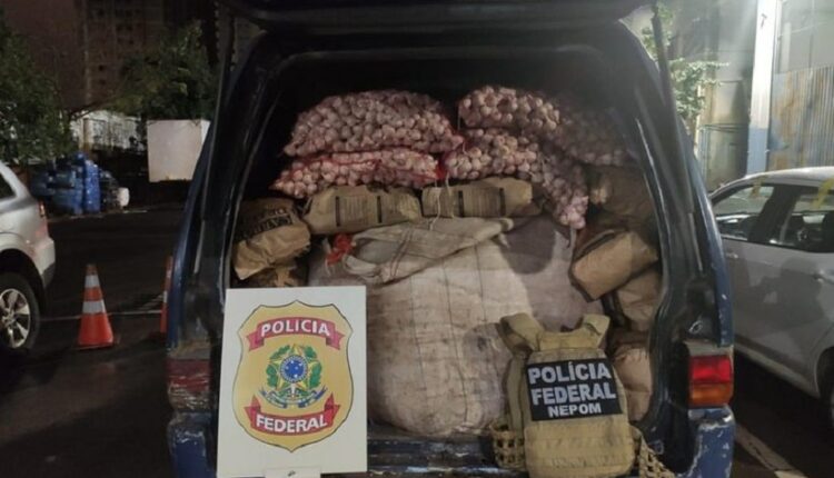 Van apreendida nessa quarta-feira estava carregada com alho argentino. Foto: Gentileza/PF