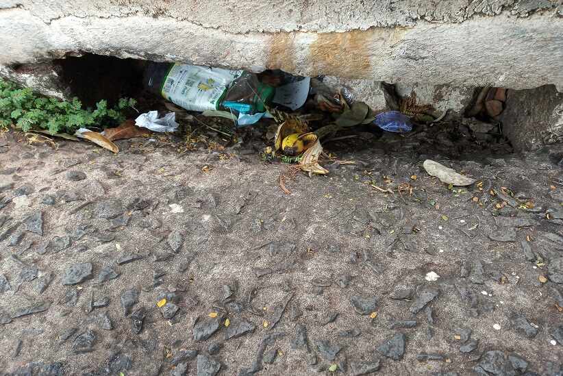 Os outros dias, do meio ambiente