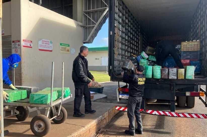 PF já destruiu quase 40 toneladas de drogas apreendidas na fronteira em 2023