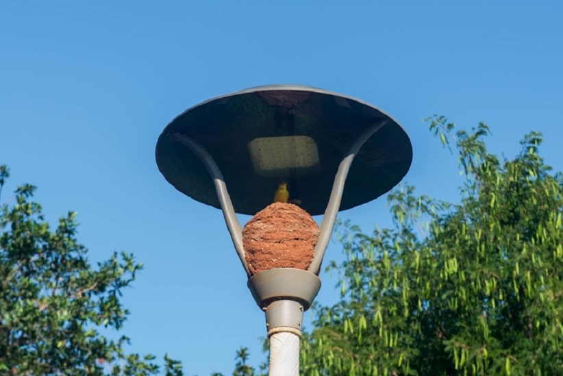 Semana terá tempo estável em Foz do Iguaçu – veja a previsão