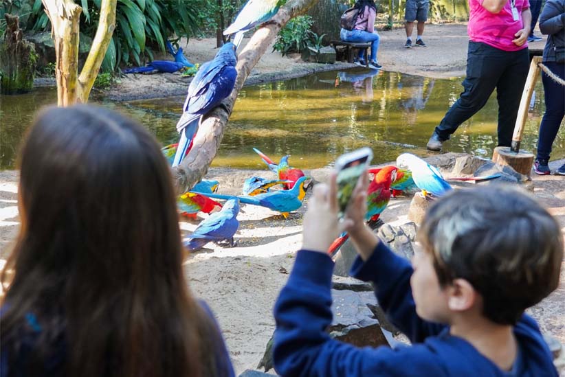 Parque das Aves espera receber 110 mil visitantes nas férias de julho com programação especial