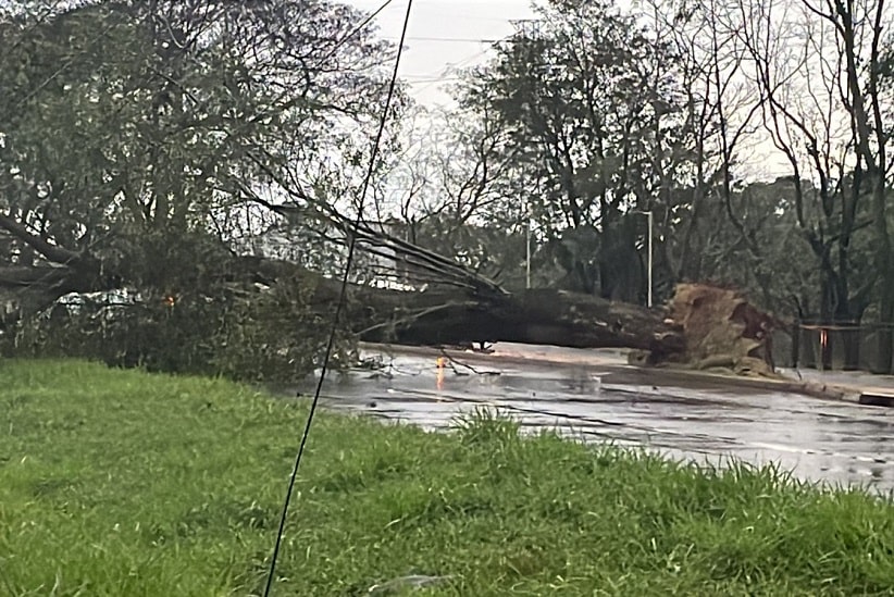 Temporal em Foz do Iguaçu deixa bairros sem luz e água nesta quarta (12)