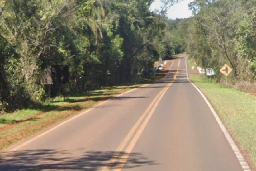 Motorista atropela veado no lado argentino das Cataratas do Iguaçu