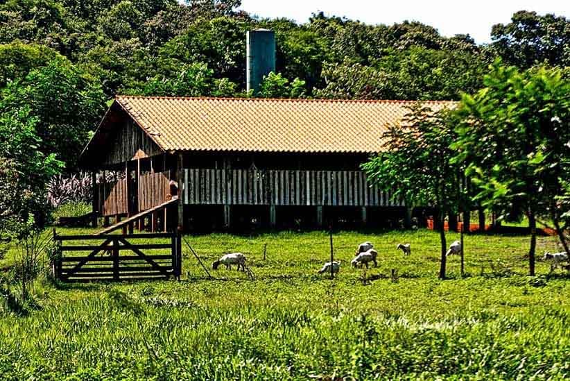 Além do discurso: pousada de Foz do Iguaçu leva agroecologia a sério
