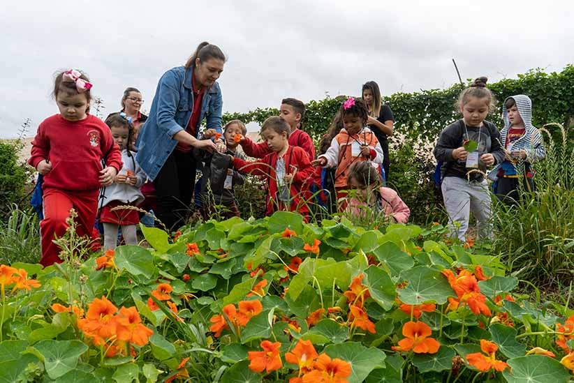 Biólogo de Foz do Iguaçu cria rede do bem para cultivar PANCs