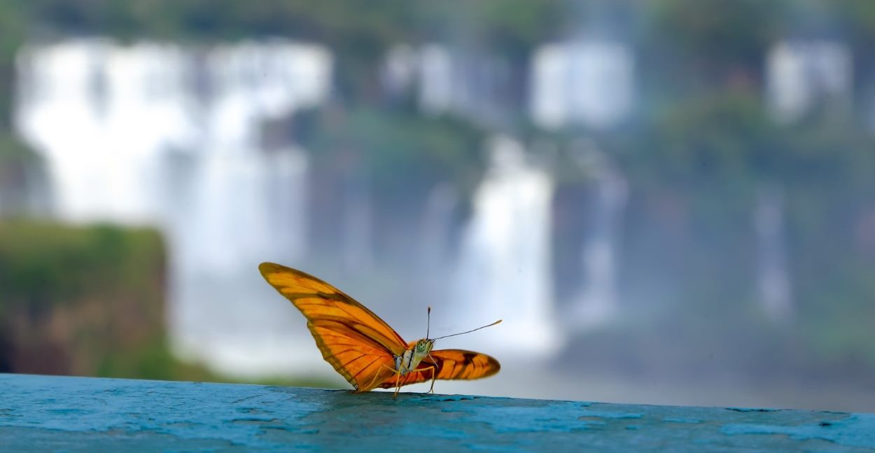 Primavera, estação mais bonita para visitar as Cataratas do Iguaçu