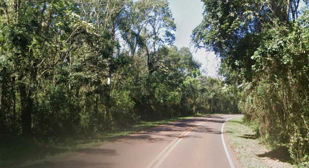 Motorista atropela jaguatirica no lado argentino das Cataratas
