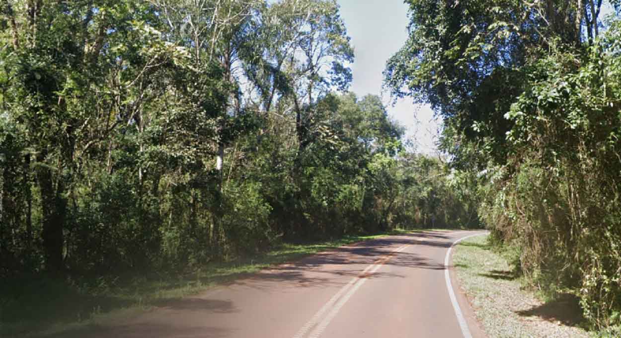 Trecho da RN 101 no interior do Parque Nacional Iguazú, próximo ao local do atropelamento. Imagem: Google Street View (Arquivo)