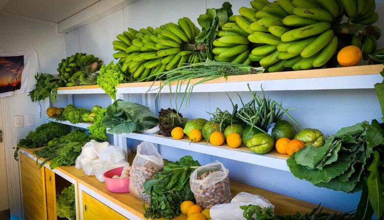 Itens são produzidos em Puerto Iguazú e municípios vizinhos, como Wanda. Foto: Gentileza/Prefeitura de Puerto Iguazú