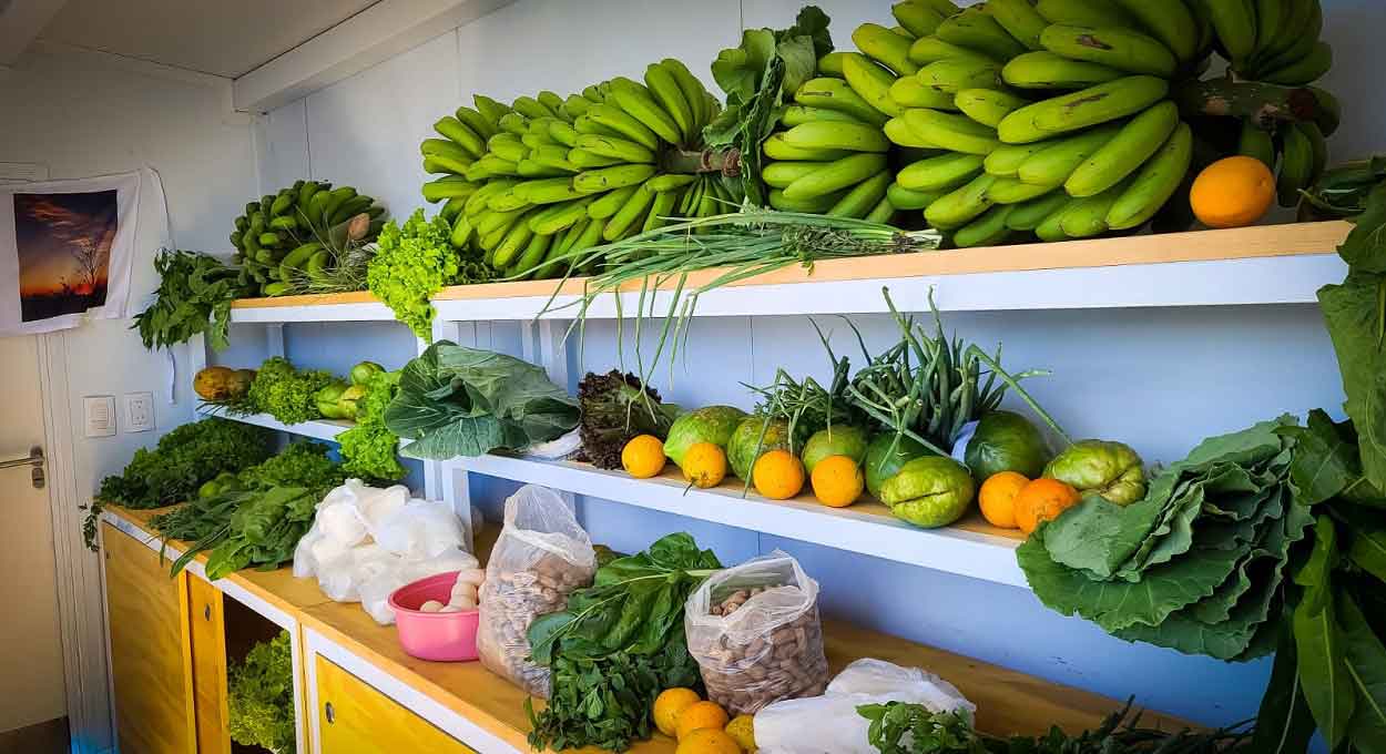 Puerto Iguazú ganha feira de produtos da agroecologia familiar