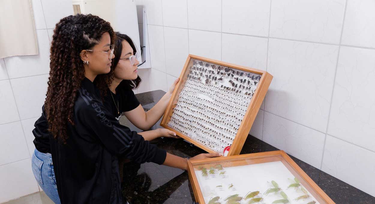 Projeto de pesquisa da Unila seleciona bolsista em Foz do Iguaçu