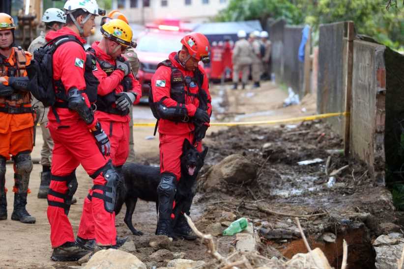 Paraná reforça ajuda ao Rio Grande do Sul com mais bombeiros e cães de buscas