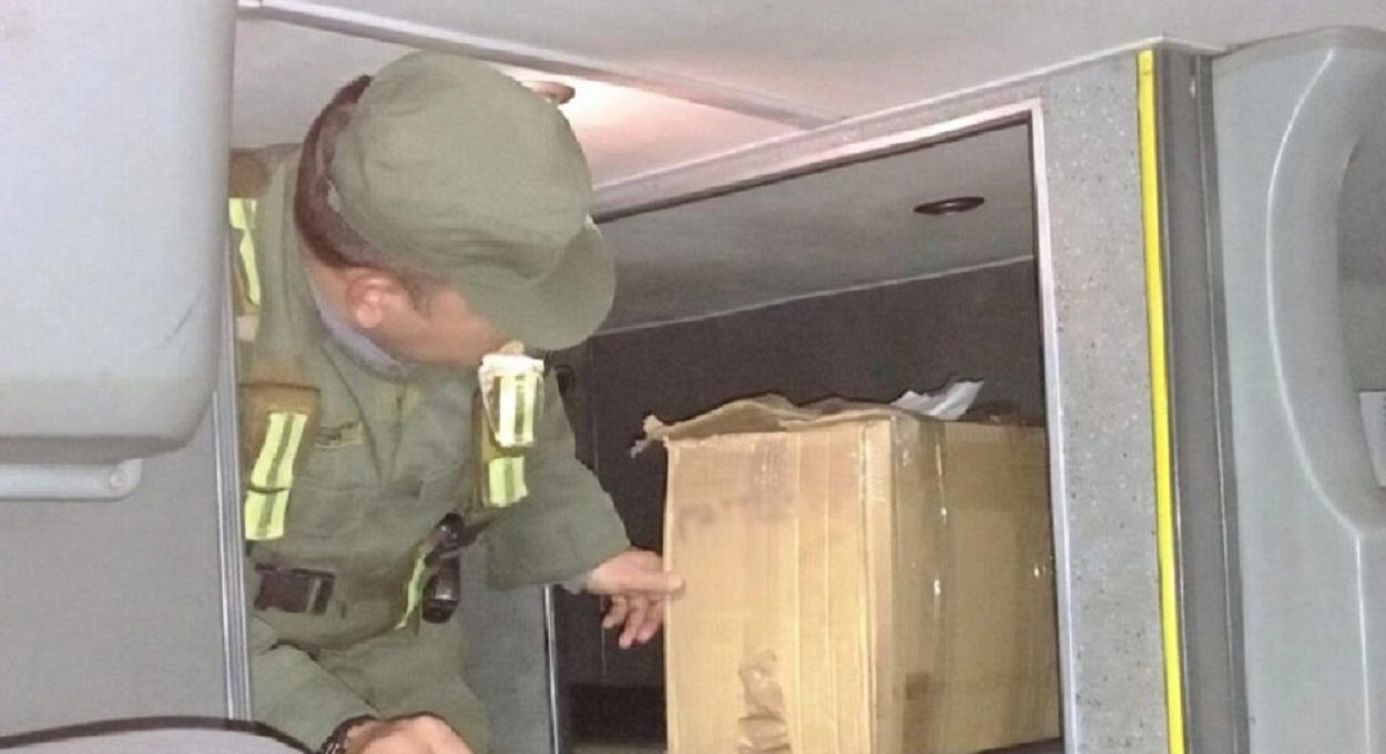 Argentina apreende iguanas e aranhas em ônibus que partiu da fronteira