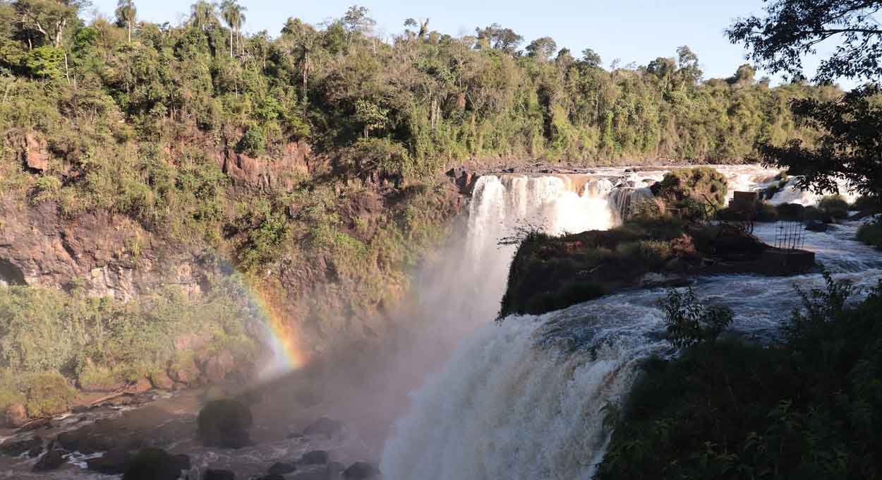 Paraguai sanciona regulamentação de créditos de carbono