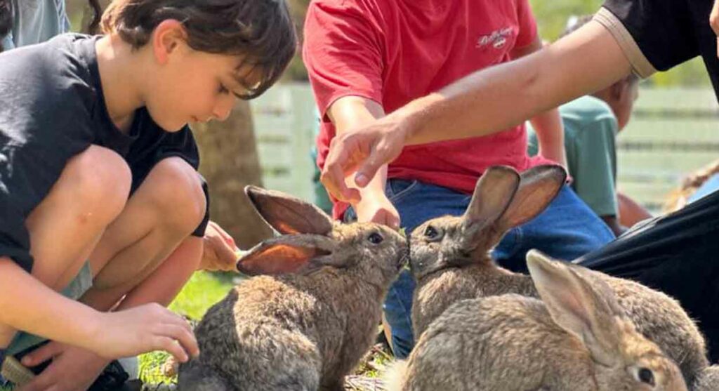 Eco Park prepara programação especial para o Dia das Crianças