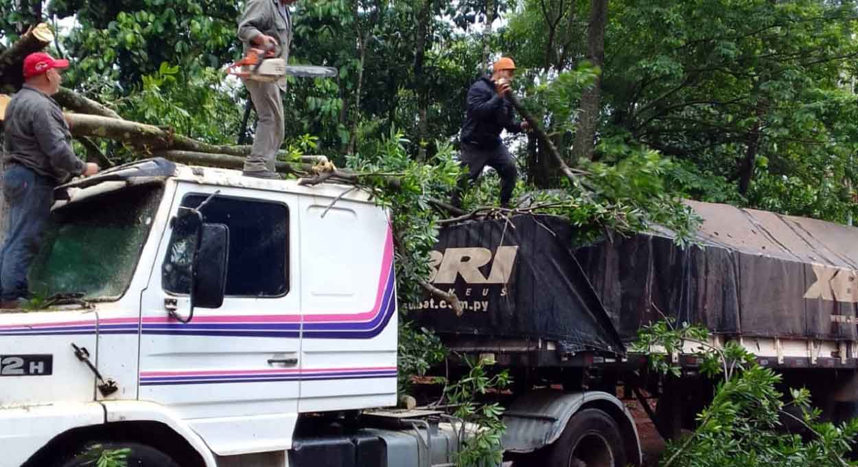 Trabalhadores removem galhos caídos em vários pontos de Puerto Iguazú desde as primeiras chuvas na sexta-feira (27). Foto: Gentileza/Prefeitura de Puerto Iguazú