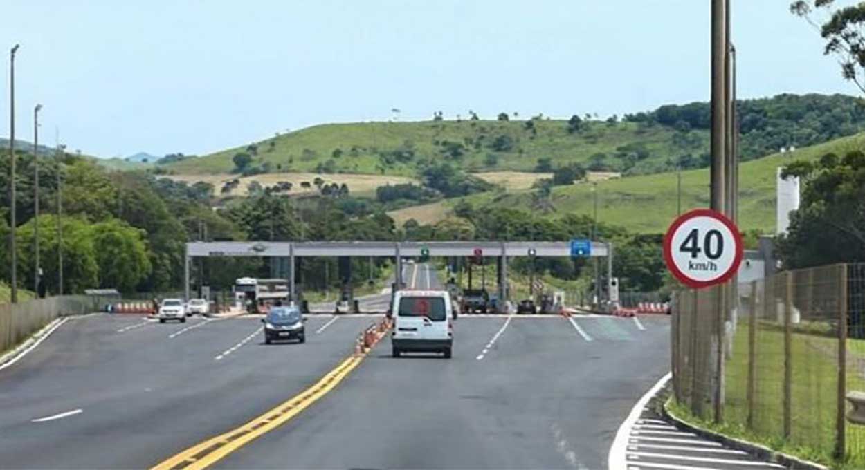 Pedágio do Paraná, Atividades econômicas e População idosa