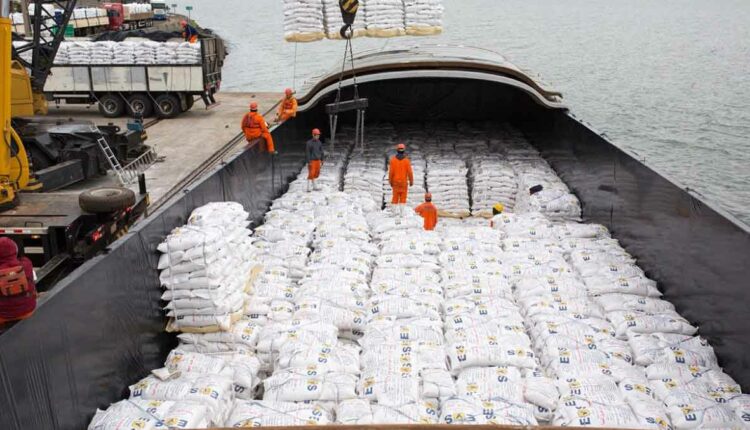 Produto semeado no país chega a locais distantes do globo, como o Oriente Médio. Foto: Gentileza/Câmara Paraguaia de Industriais do Arroz