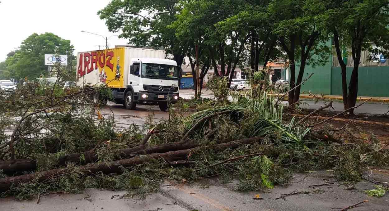 Temporal deixa destruição em Santa Rita e Santa Rosa, no Paraguai