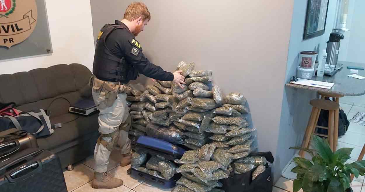 Polícia para carga de maconha não prensada em carro de passeio na BR-277