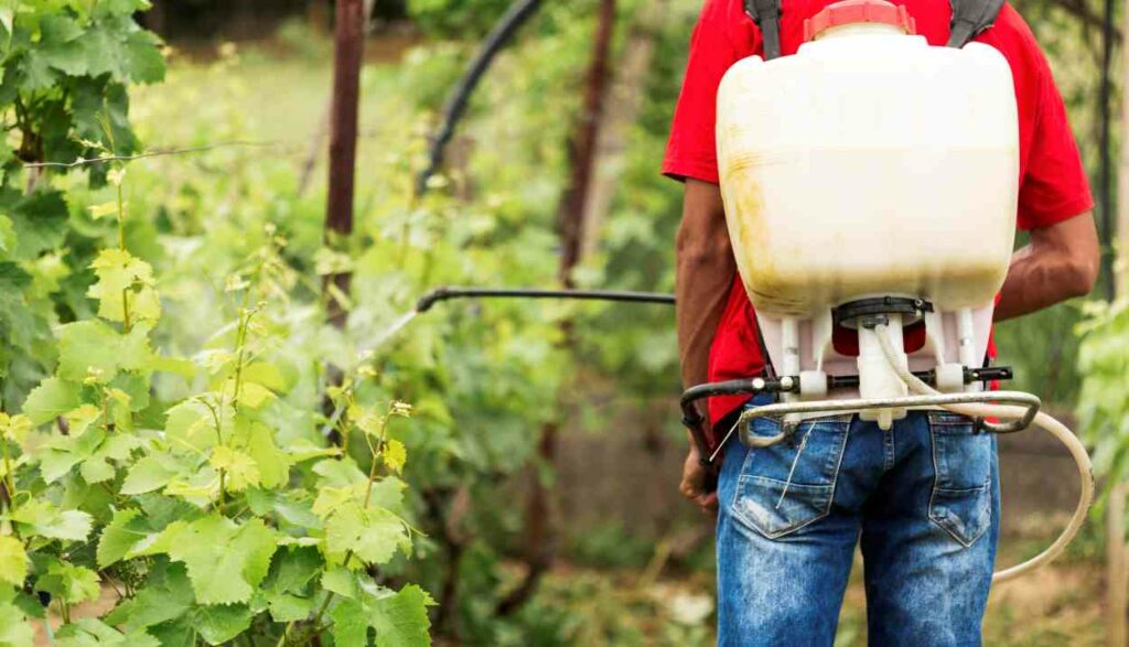 Justiça condena e multa em R$ 10 milhões grupo que trazia agrotóxico ilegal do Paraguai