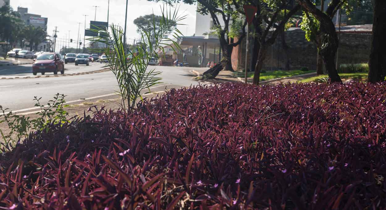 Calor volta a predominar em Foz do Iguaçu – veja a previsão